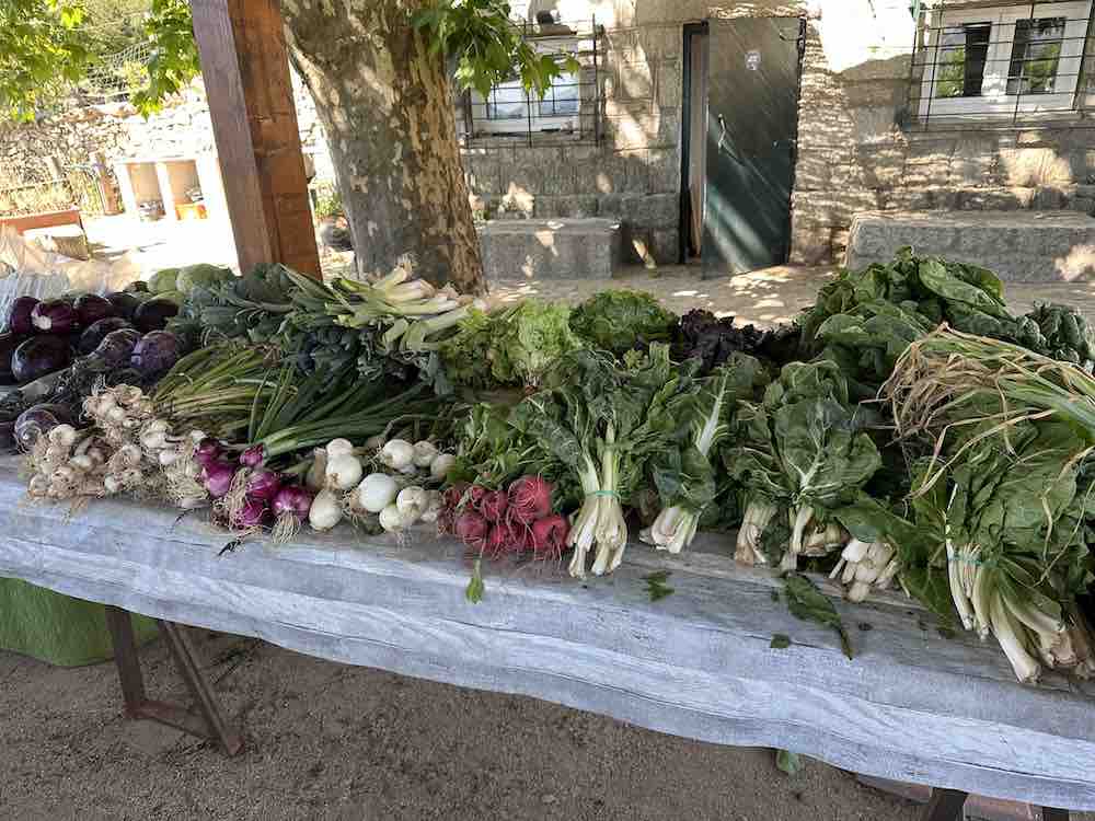 Mercado a pie de huerta de Nuestras Huertas Sierra Norte, Bustarviejo (Madrid).