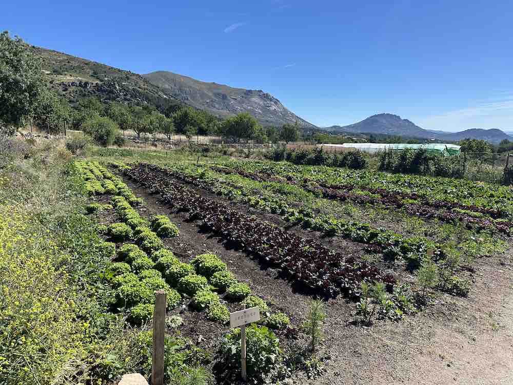 La Huerta de Abril,