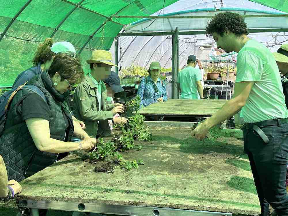 Taller en La Huerta de Abril, Bustarviejo (Madrid).