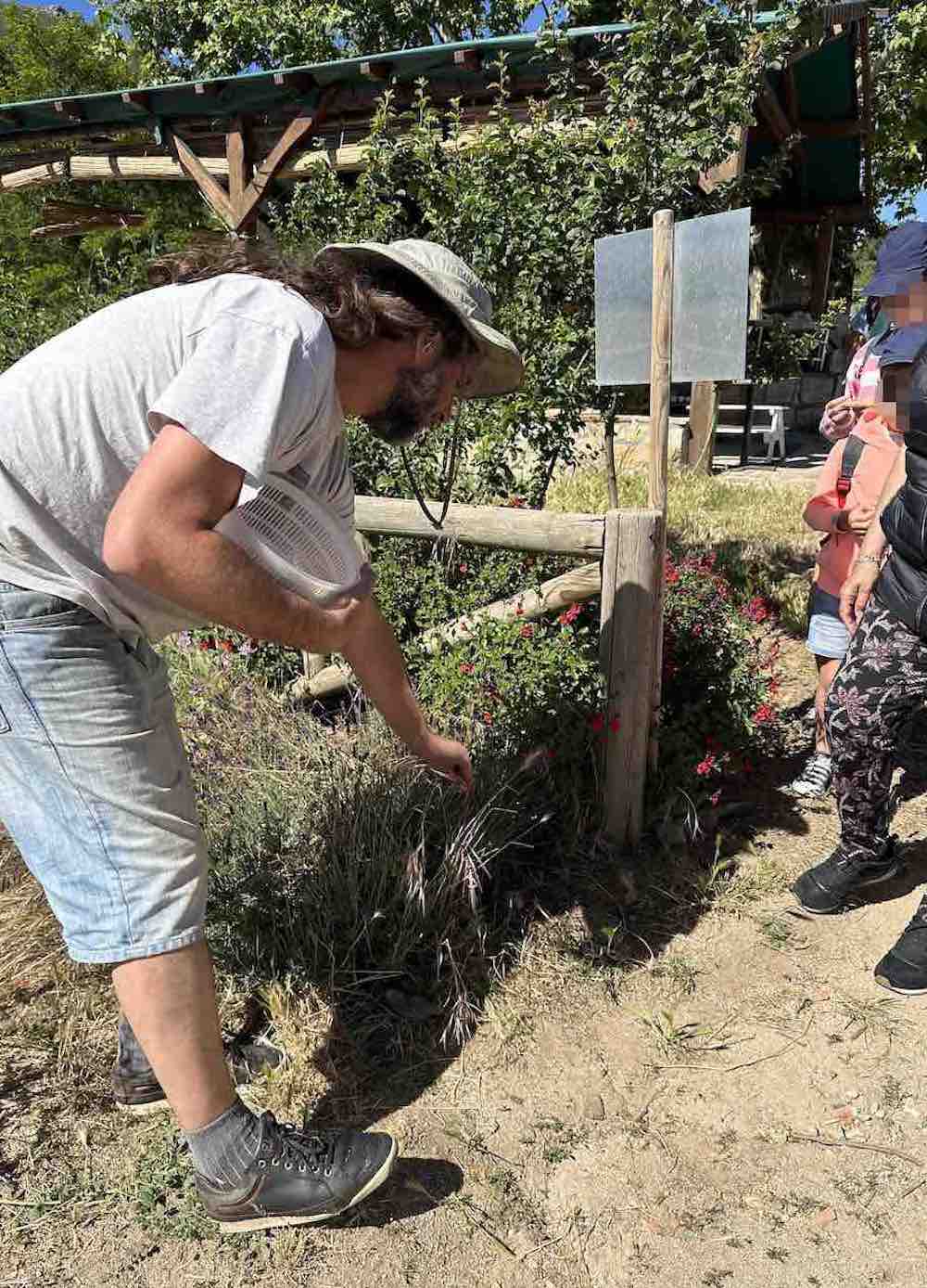 En La Huerta de Abril, Bustarviejo.